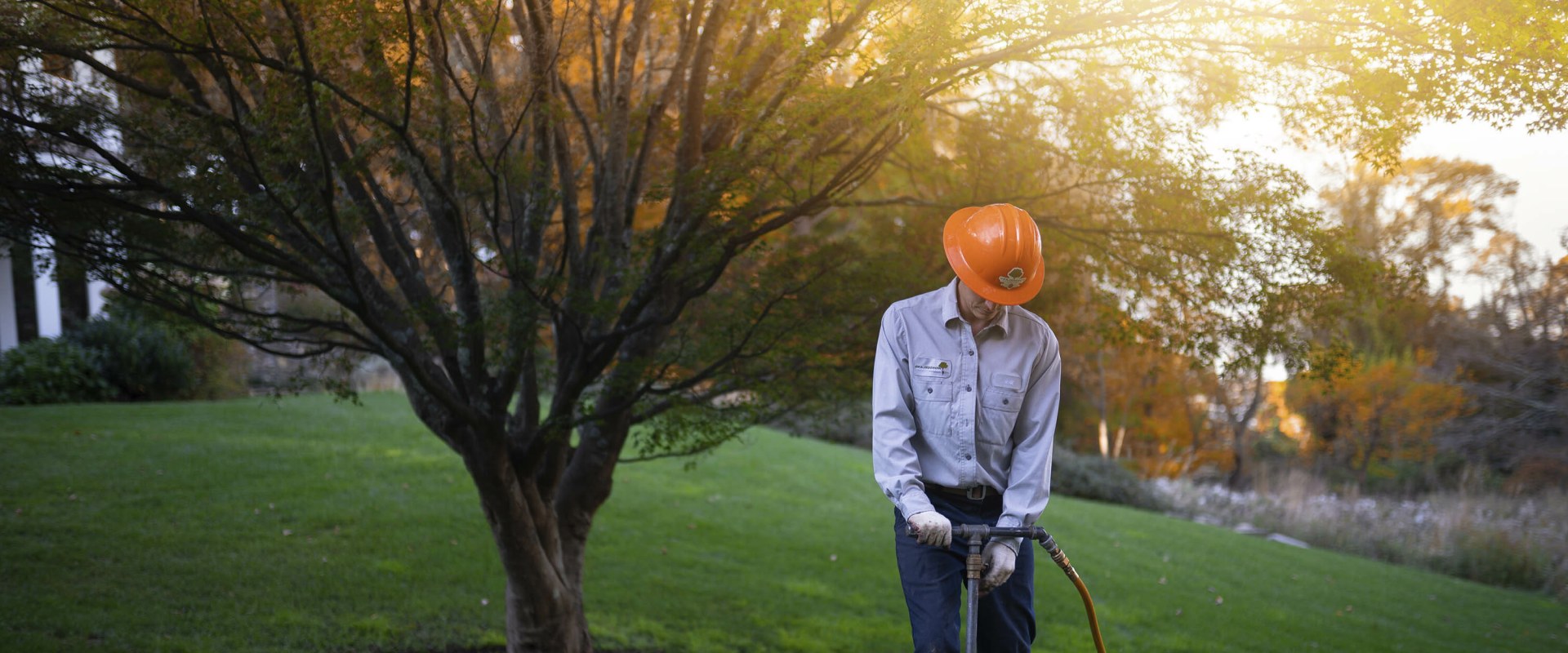The Critical Role of Regular Monitoring and Assessment in Plant Health Care (PHC)