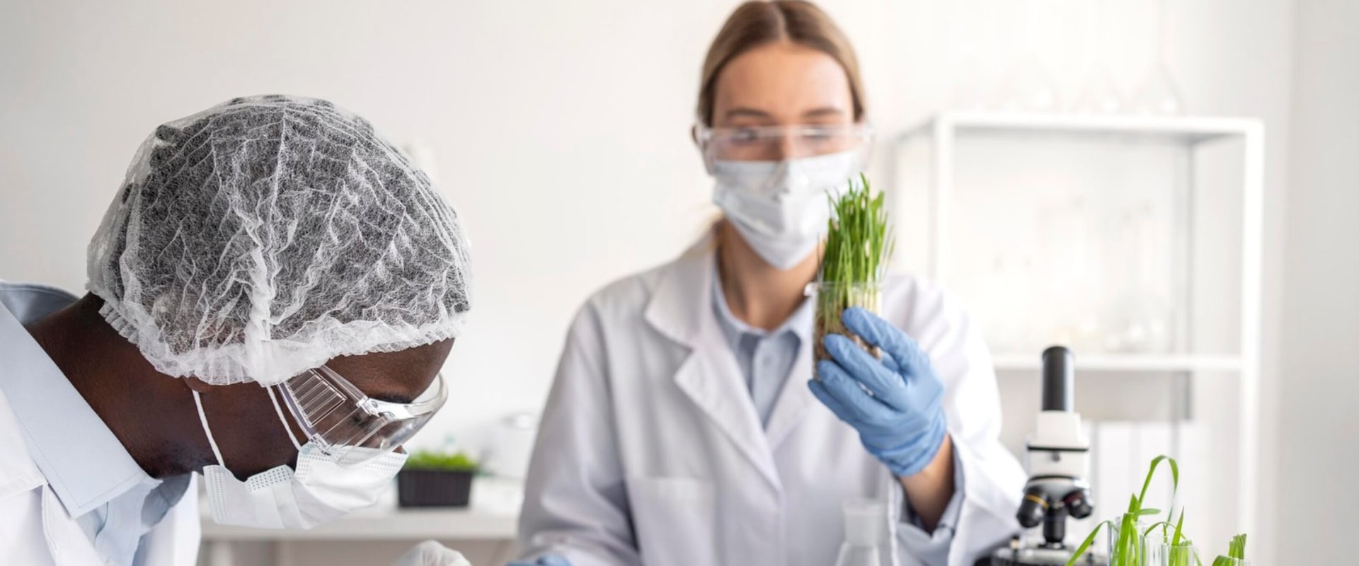 The Importance of Plant Health Care (PHC) for Sustainable Agriculture and Ecosystems