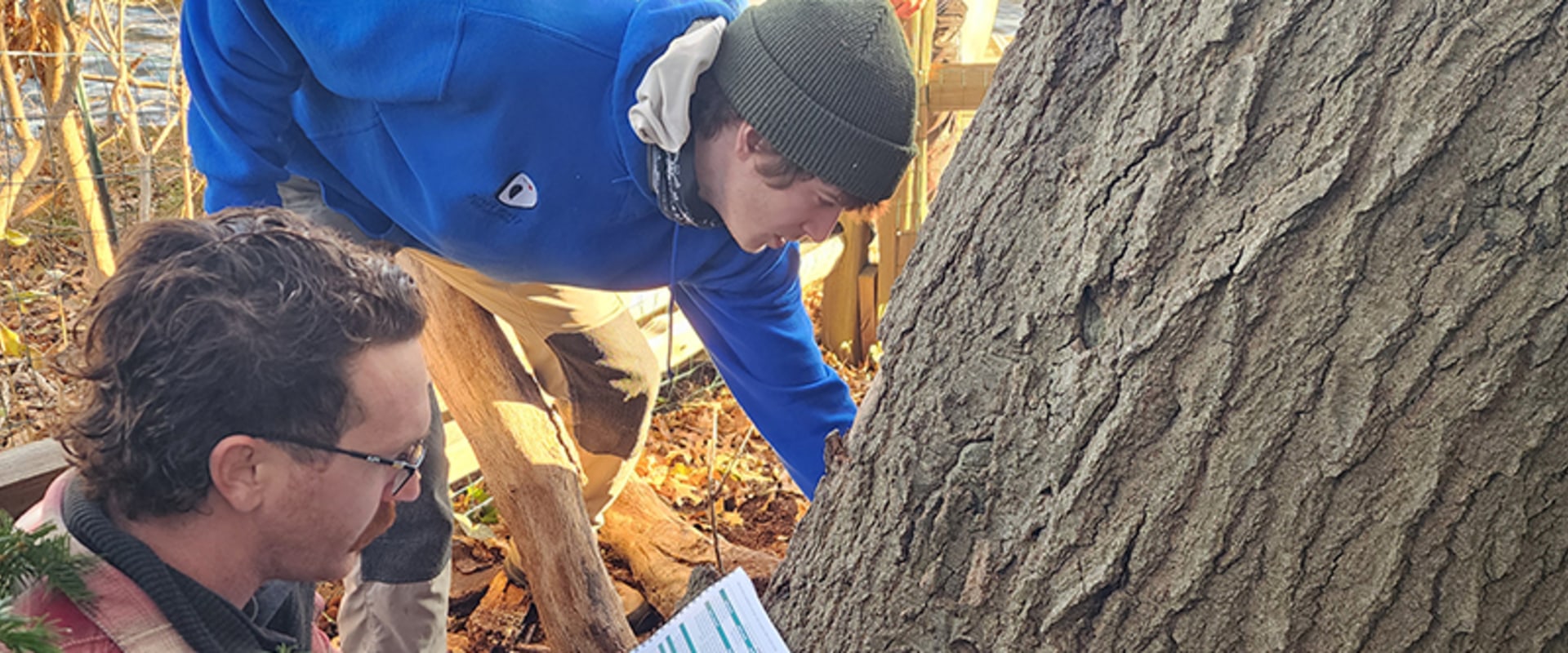 Understanding Plant Health Care (PHC) vs. Traditional Plant Care Methods