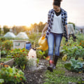 Incorporating Plant Health Care Practices into Your Garden: A Homeowner's Guide