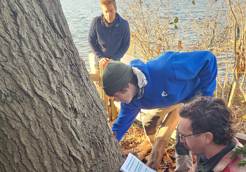 Understanding the Role of a Certified Arborist in Plant Health Care (PHC)