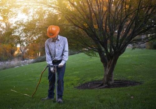 The Critical Role of Regular Monitoring and Assessment in Plant Health Care (PHC)