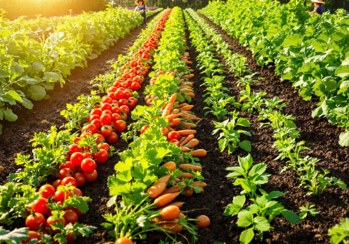 Understanding Plant Health Care: Tailoring Strategies for Diverse Plant Species