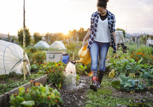 Incorporating Plant Health Care Practices into Your Garden: A Homeowner's Guide