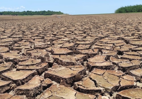 The Impact of Climate Change on Plant Health Care Practices